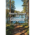 Stepping Through the Gospels: Walking with Jesus