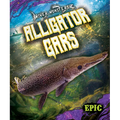 Alligator Gars