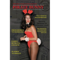 Pirate Bunny