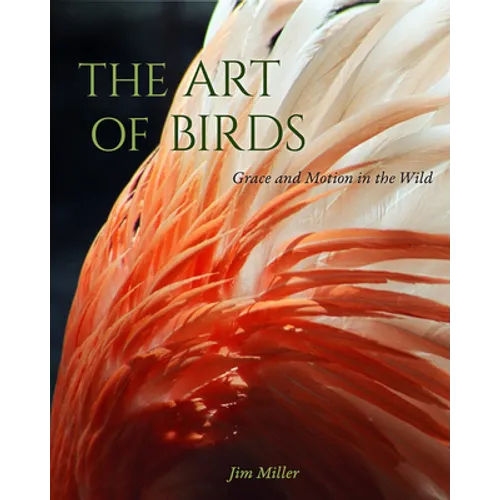 The Art of Birds: Grace and Motion in the Wild