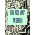 How Much Money Am I Saving: Finance