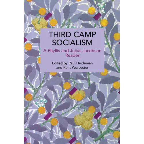 Third Camp Socialism