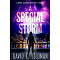A Special Storm: Crime fiction Novels