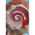 Conch Pearl