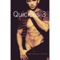 Quickies 3: Short Short Fiction on Gay Male Desire