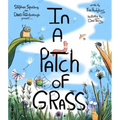 In a Patch of Grass