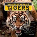 Tigers