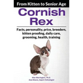 Cornish Rex: From Kitten to Senior Age