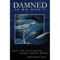 Damned if We Don't!: Ideas for accelerating change around water