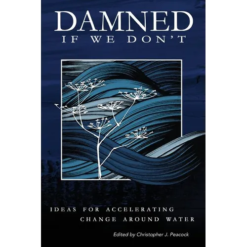 Damned if We Don't!: Ideas for accelerating change around water