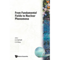 From Fundamental Fields to Nuclear...