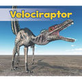 Velociraptor