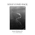 What Comes Back
