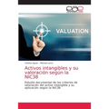 Activos intangibles y su valoración según la NIC38
