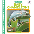 Baby Chameleons