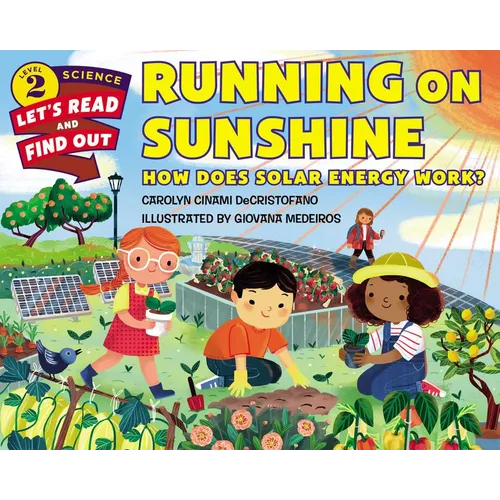 Running on Sunshine: How Does Solar Energy Work?