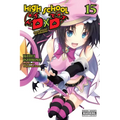 High School DXD, Vol. 15 (Light Novel): Volume 15