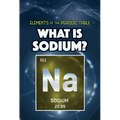 What Is Sodium?