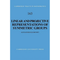 Linear and Projective Representations of Symmetric Groups