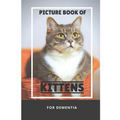 Picture Book Of Kittens For Dementia: A Gift Book for Alzheimer's Patients and Seniors with Dementia, A delightful picture book of 40 adorable kittens