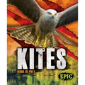 Kites: Birds of Prey