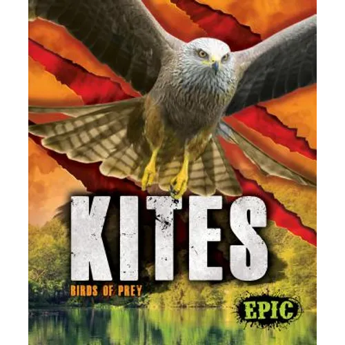 Kites: Birds of Prey