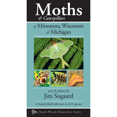 Moths & Caterpillars of Minnesota, Wisconsin & Michigan