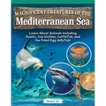 Magnificent Creatures of the Mediterranean Sea: Learn about Animals Including Sharks, Sea Urchins, Cuttlefish, and the Fried Egg Jellyfish!