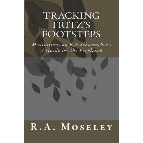 Tracking Fritz's Footsteps: Meditations on E.F. Schumacher's A Guide for the Perplexed