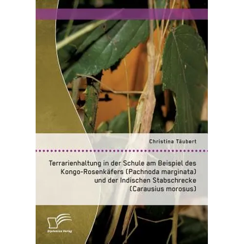 Terrarienhaltung in der Schule am Beispiel des Kongo-Rosenkäfers (Pachnoda marginata) und der Indischen Stabschrecke (Carausius morosus)