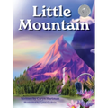 Little Mountain