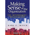 Making Sense of the Organization, Volume 2