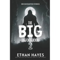 The Big Bigfoot Book: 100 Encounter Stories: Volume 2