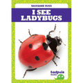 I See Ladybugs