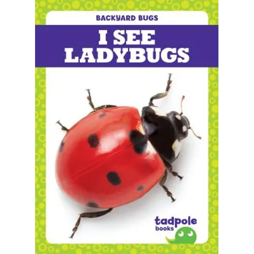 I See Ladybugs