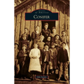 Conifer