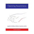 Opening Awareness: A guide to finding vividness in spacious clarity