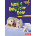 Meet a Baby Polar Bear
