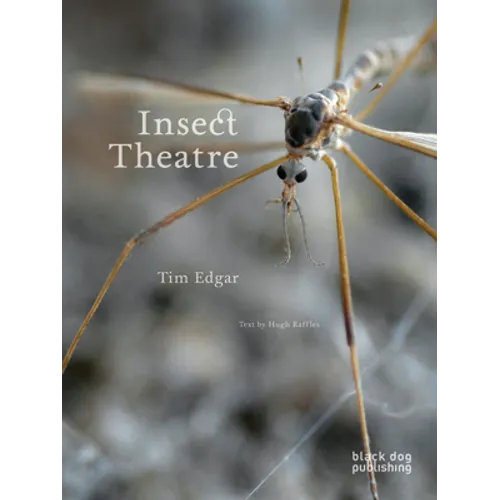 Insect Theatre