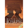 Much Like Joseph: From Pit to Glory