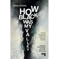 How Black Was My Valley: Poverty and Abandonment in Post-Industrial Wales
