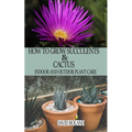 How to Grow Succulents and Cactus: Indoor and Outdoor Plant care