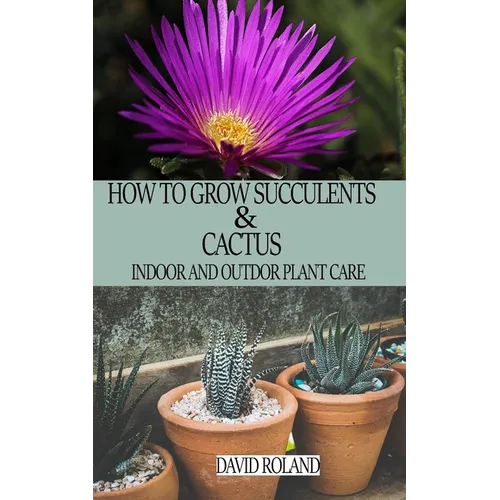 How to Grow Succulents and Cactus: Indoor and Outdoor Plant care