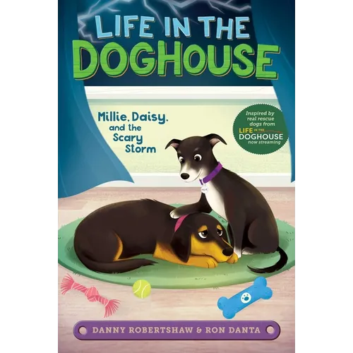 Millie, Daisy, and the Scary Storm