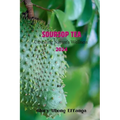 Soursop Tea: Unveiling Nature's Wellness 2024: "Embrace the tangy and refreshing goodness of soursop leaf tea - the perfect blend o