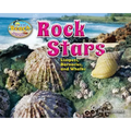 Rock Stars: Limpets, Barnacles, and Whelks