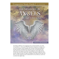 The Ministry of Angels Study Guide