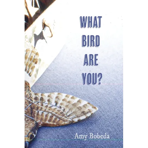 What Bird are You