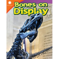 Bones on Display