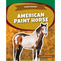 American Paint Horse